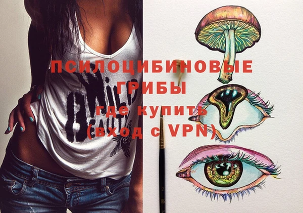 твердый Михайлов