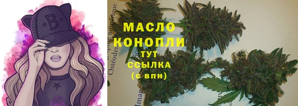 твердый Михайлов