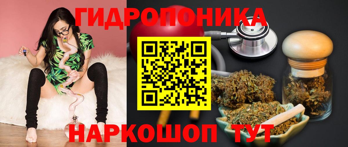 Каннабис Bruce Banner  Каннабис планчик  Конопля VHQ  Полысаево  Вход с VPN 